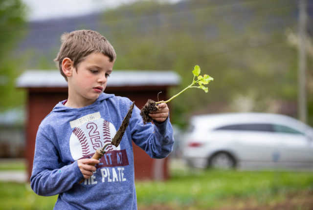 Child in garden