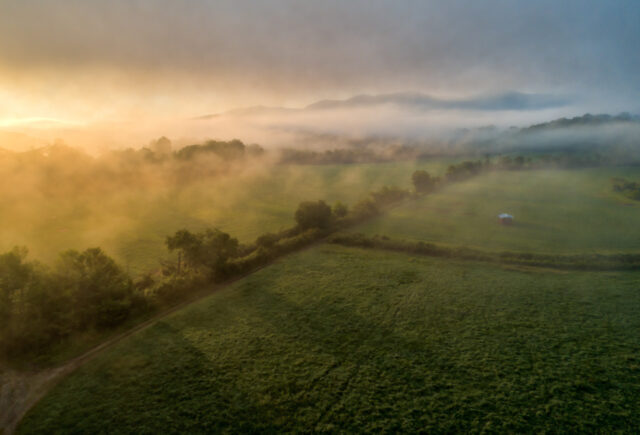 Golden Sunrise