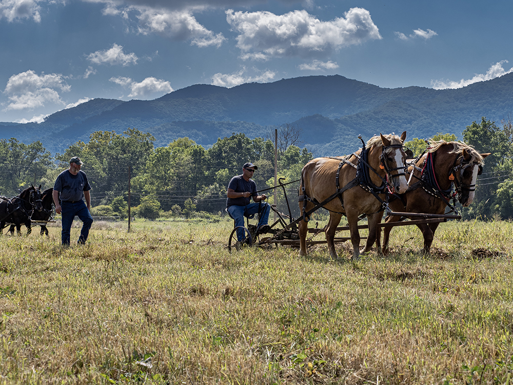 Plow Day 2019 Warren Wilson College