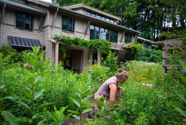 A student works in the gardens outside ecodorm.