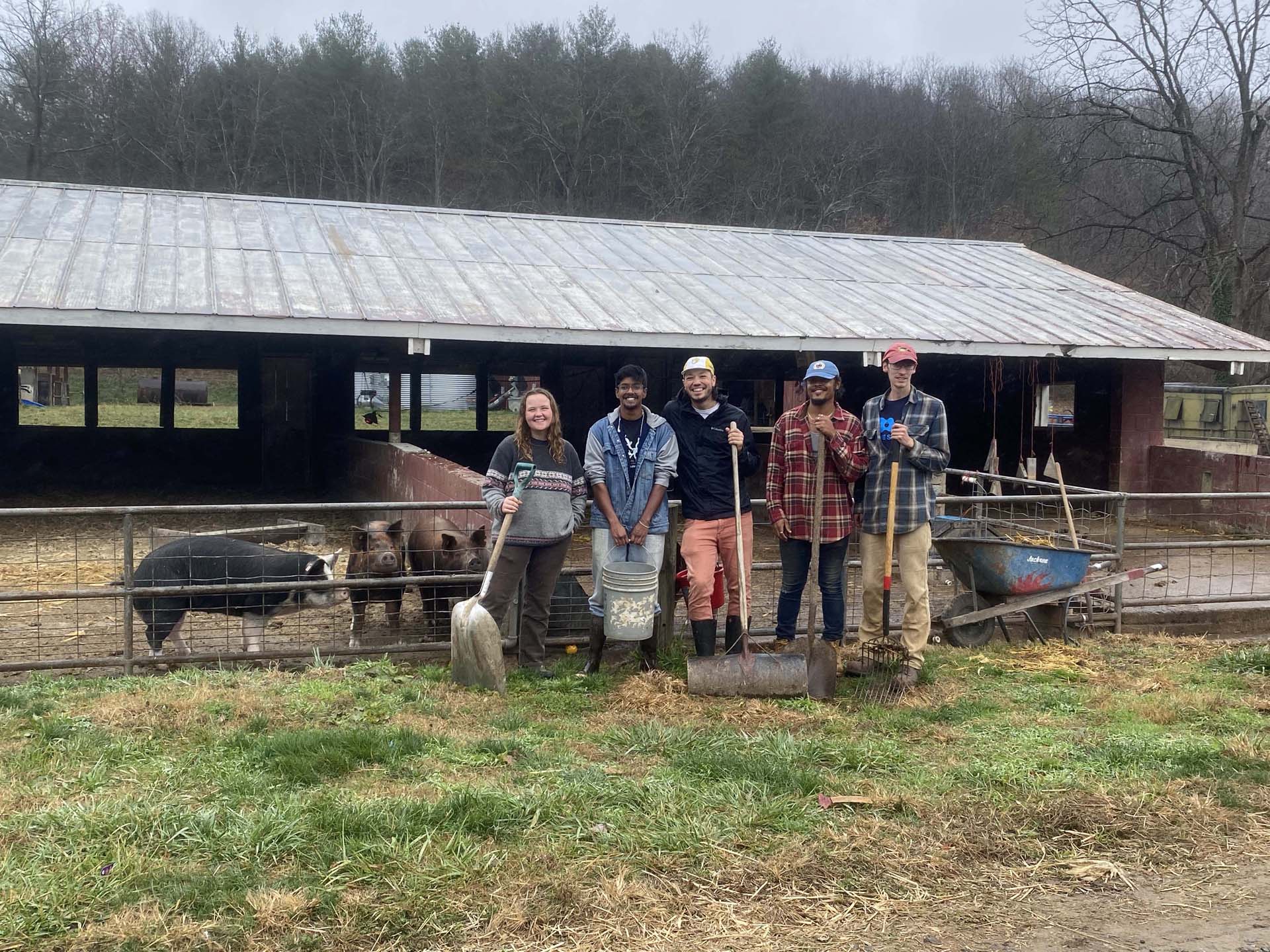 A group of students stand in front of a paddock with pigs behind the gate at the Warren Wilson College Farm