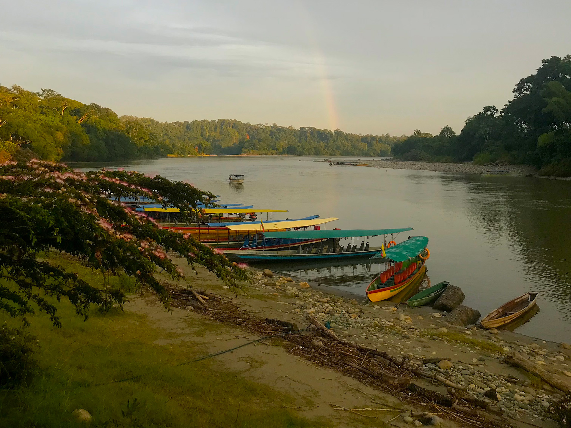 Student Audrey Mader took this beautiful image of a river with a line of colorful boats lining the shore on their study away trip to Equador.