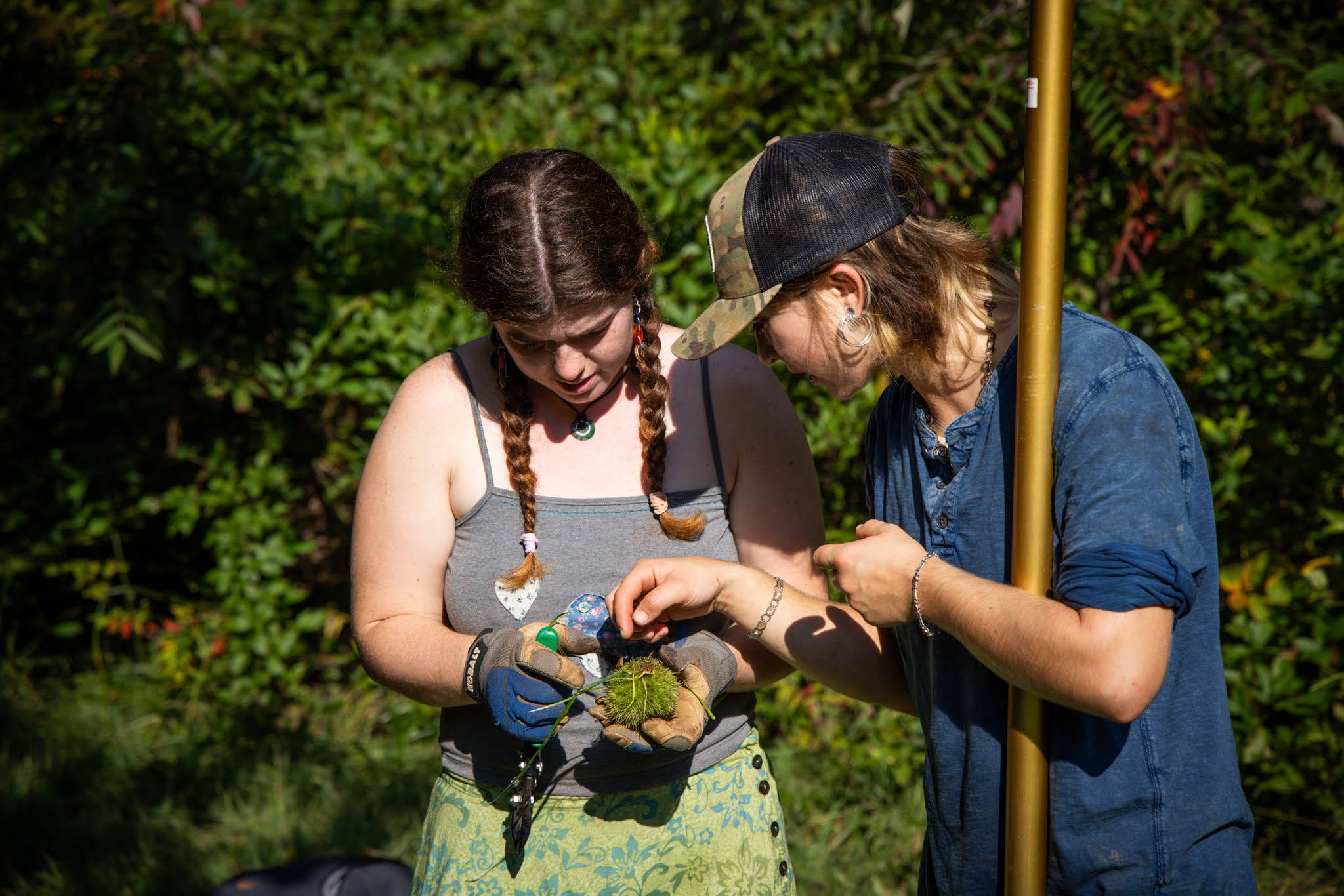 Two students in the field study moss.