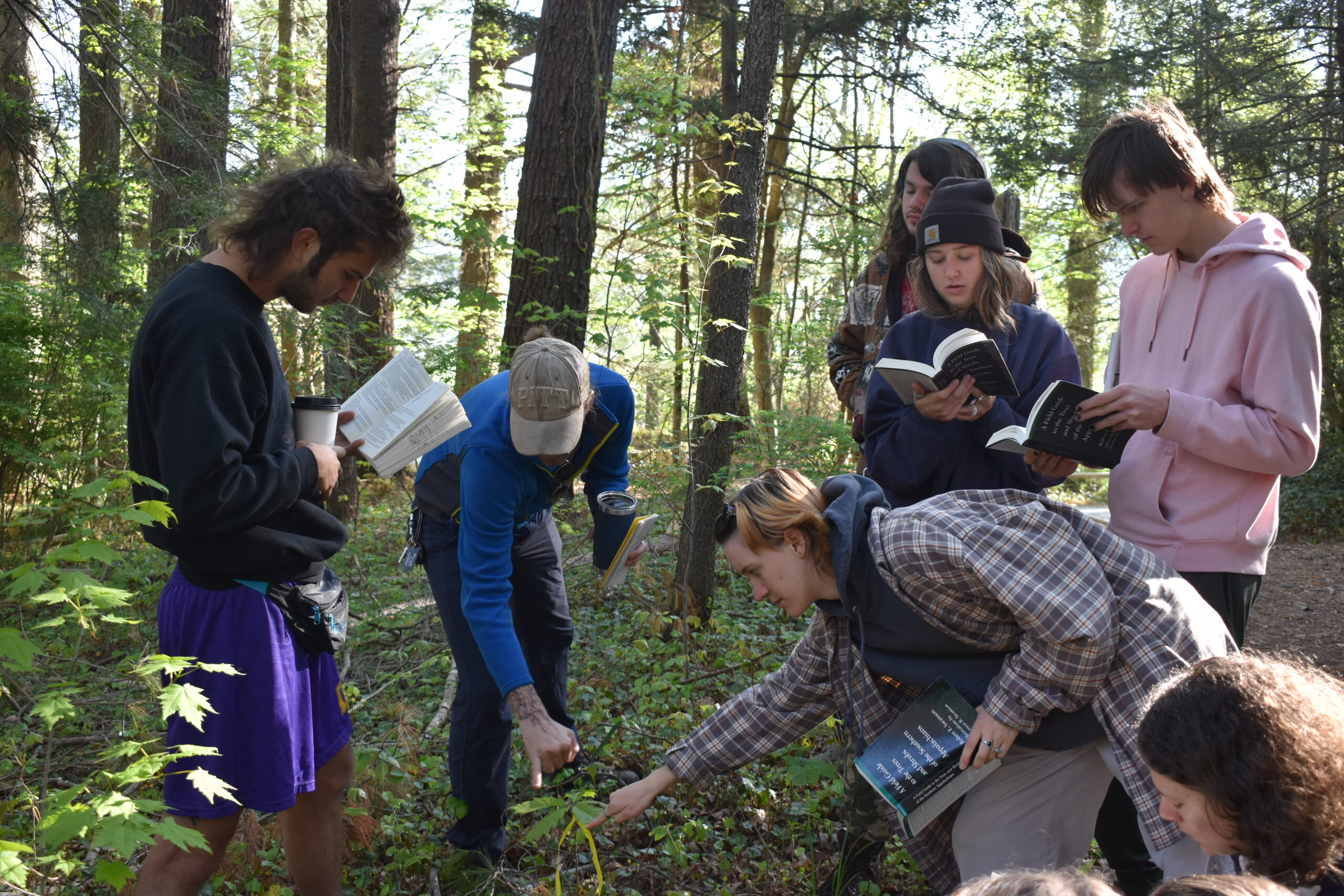 Dr. Eric Griffin points out a plant to students in the forest