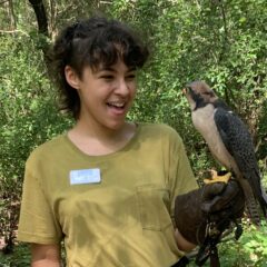 A student stands with a falcon perched on their arm