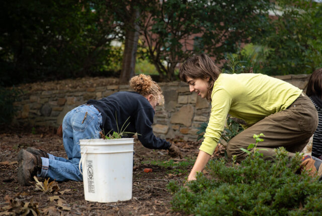 Two ecological landscaping crew students weed invasive plants from a flower bed.