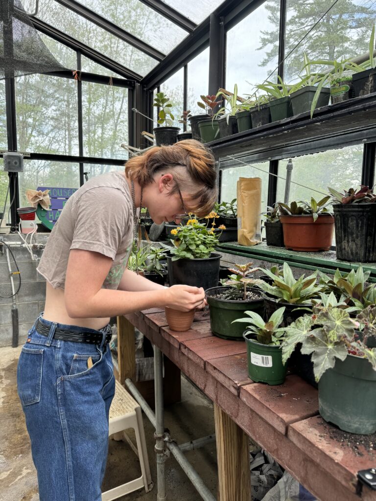 A student works in the greenhouse propagating plants.