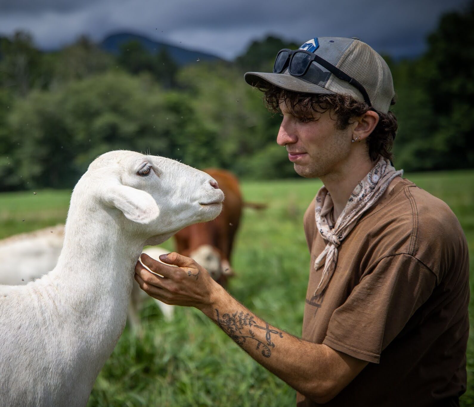 animal science major