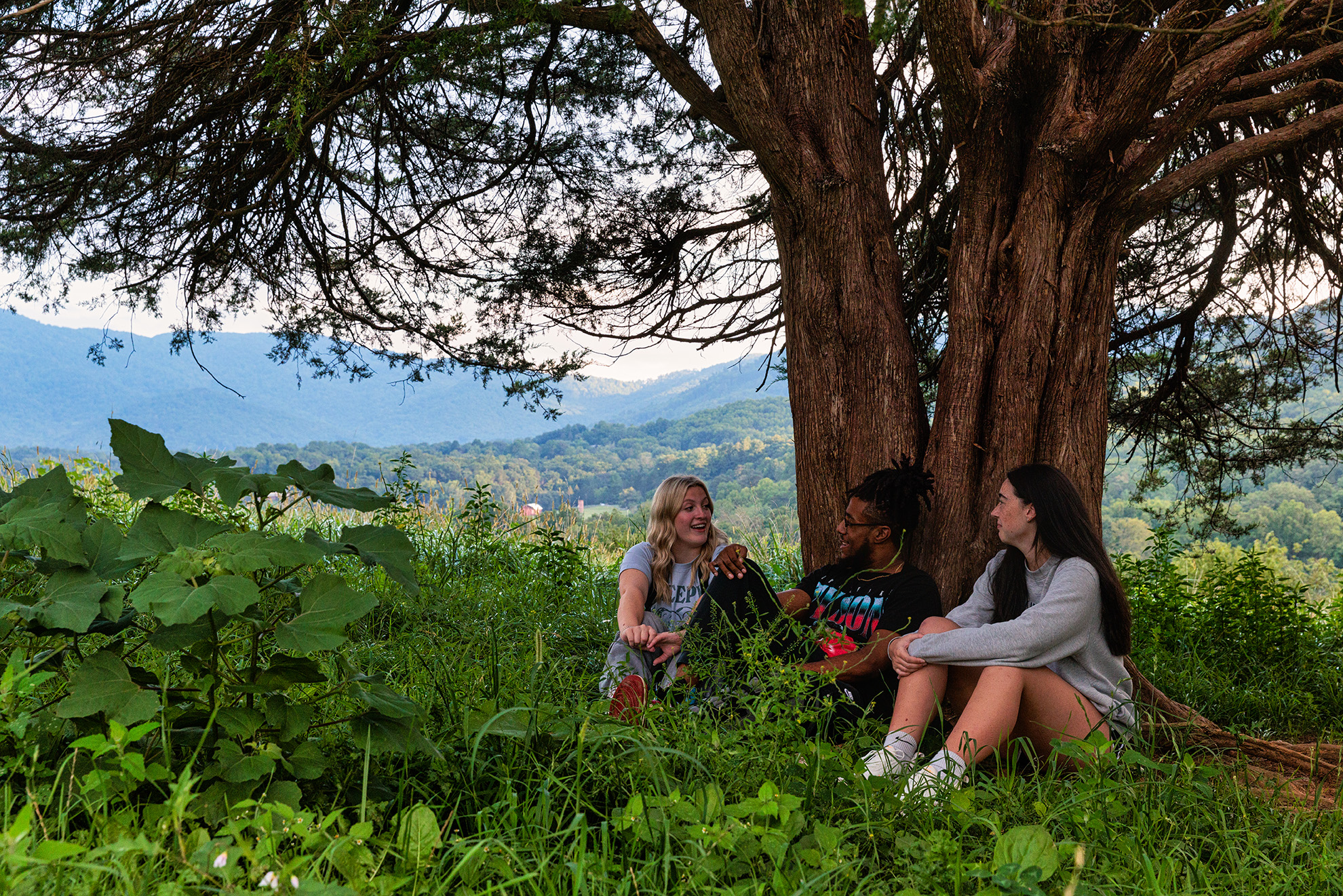 Students sit under a tree in Dogwood pasture. A beautiful view of the valley is their backdrop.