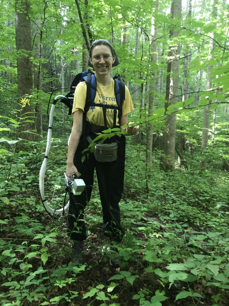student in the forest studying endophytes