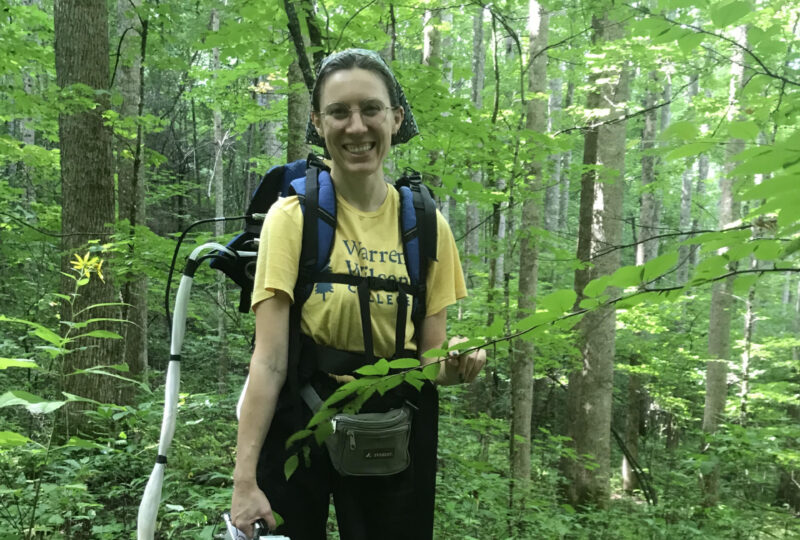 student in the forest studying endophytes