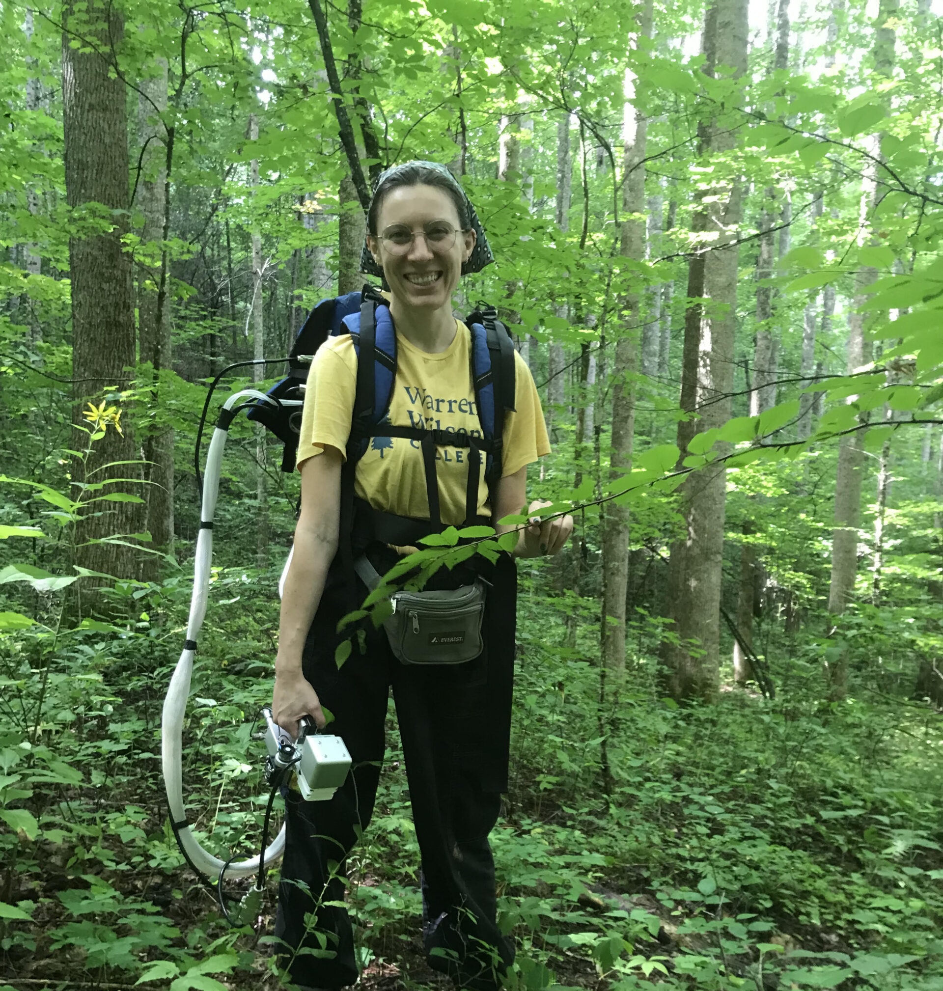 student in the forest studying endophytes