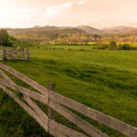 Valley Landscape