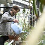 A student stands in a greenhouse watering plants.