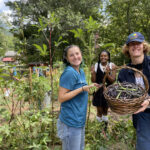 Students work with local community organization, Fern Way Farm, to learn about the societal impacts a community garden can have on issues such as poverty and houselessness.