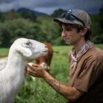 animal science major